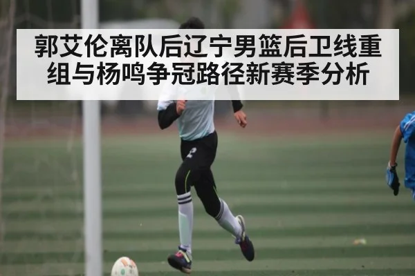 郭艾伦离队后辽宁男篮后卫线重组与杨鸣争冠路径新赛季分析